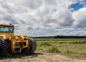 Balança de sapata: soluções para pesagem agrícola