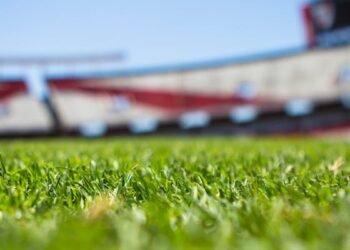 Como apostar de forma lucrativa na Bet Nacional?