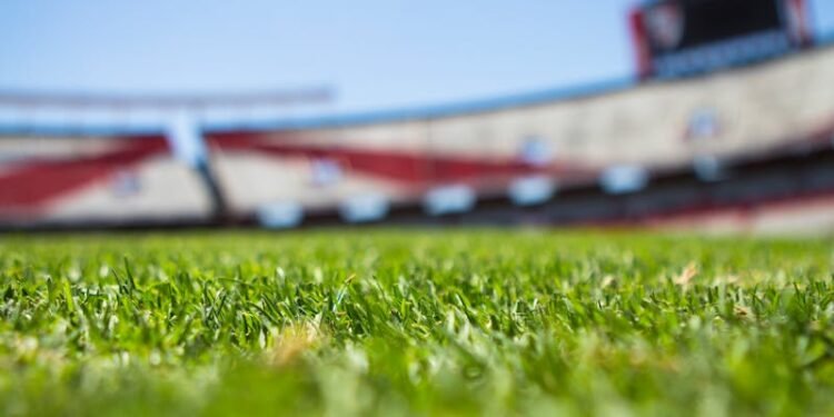 Como apostar de forma lucrativa na Bet Nacional?