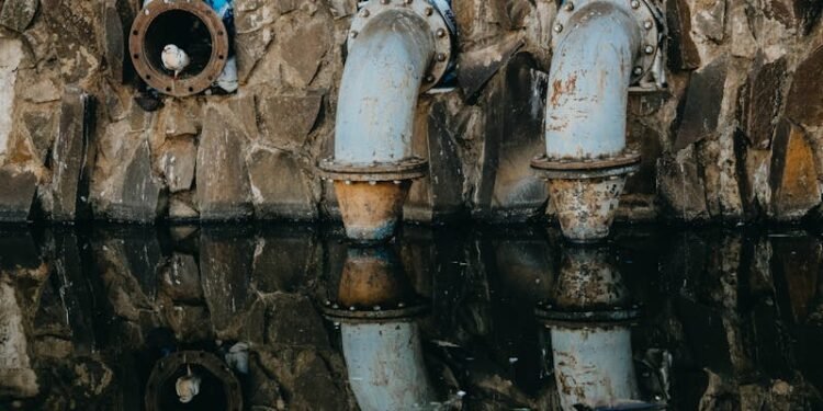 Como prevenir odores vindos de ralos e esgotos