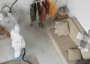 Melhores materiais para proteger móveis de cupins - Michelangelo Buonarroti (Pexels)