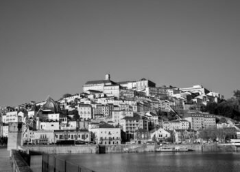 Passo a passo para investir em negócios lucrativos em Portugal