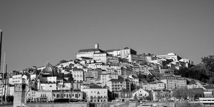 Passo a passo para investir em negócios lucrativos em Portugal