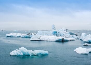 Mudanças Climáticas e Infestações: Impactos e Ações