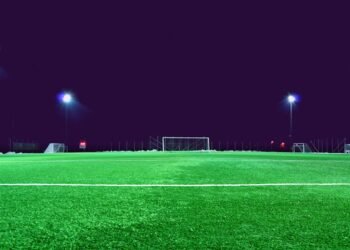 Portal PalmeirasWeb: Para Acompanhar as Últimas Novidades do Verdão