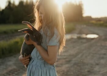 Plano de saúde pet: o que deve cobrir e como escolher