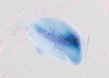 ERP Inteligente en Acción: cómo la IA incorporada al ERP eleva Oracle NetSuite en América Latina