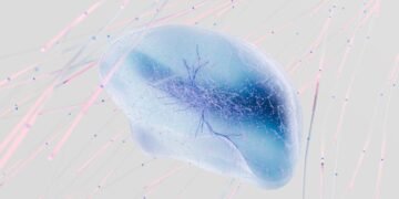 ERP Inteligente en Acción: cómo la IA incorporada al ERP eleva Oracle NetSuite en América Latina