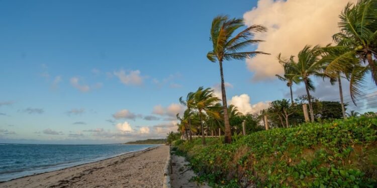 Zenon Tour atende turistas em diferentes destinos da Bahia